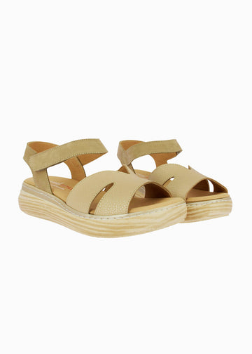 46018 Taupe