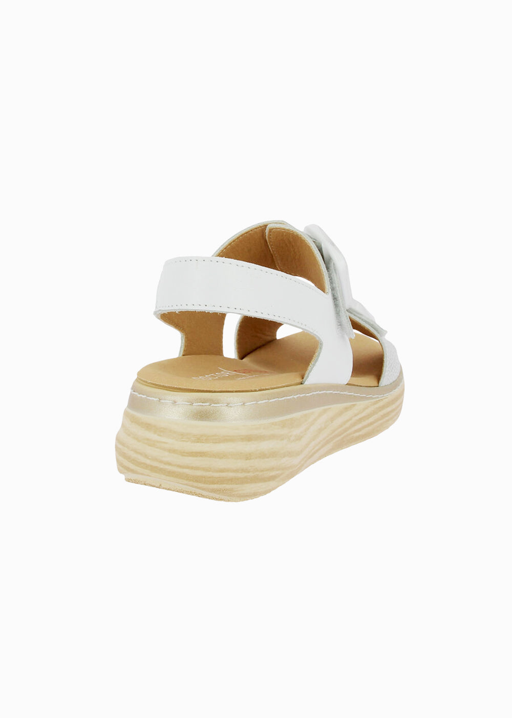 46019 Blanco