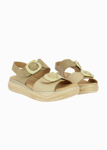 46019 Taupe