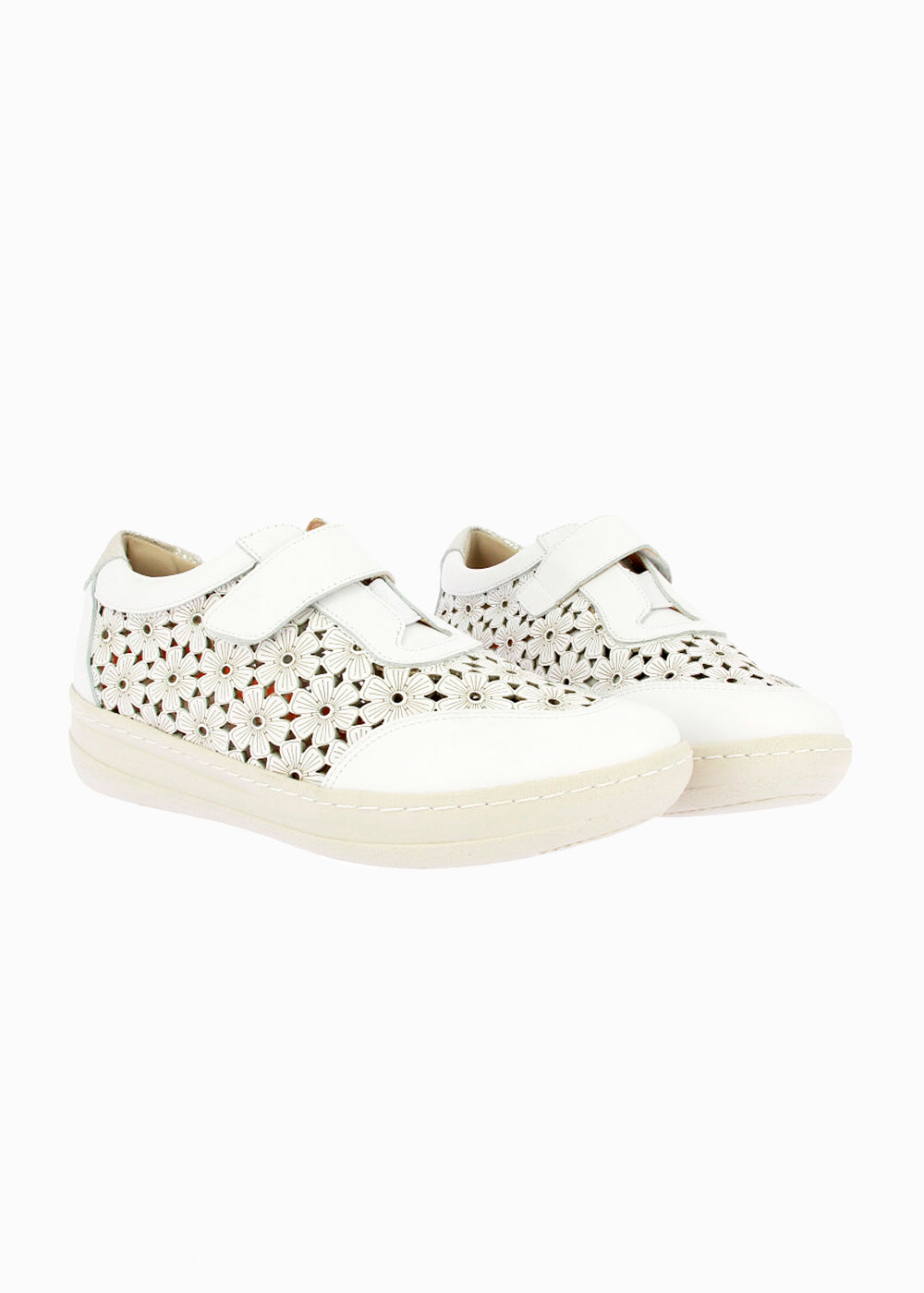 50305 Blanco