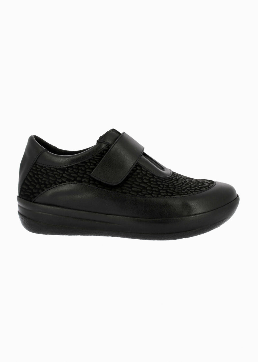 50753 Negro