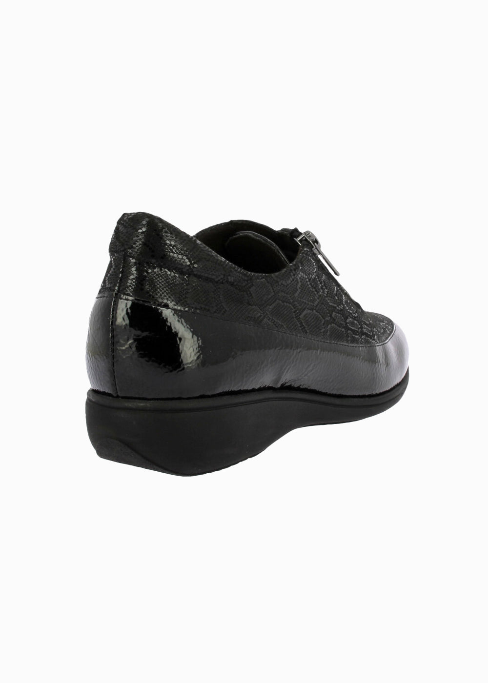 53584 Negro
