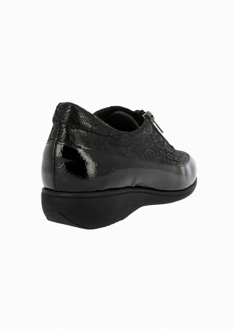 53584 Negro