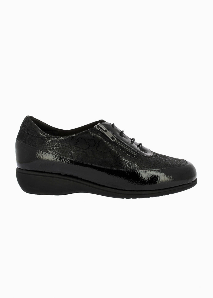 53584 Negro