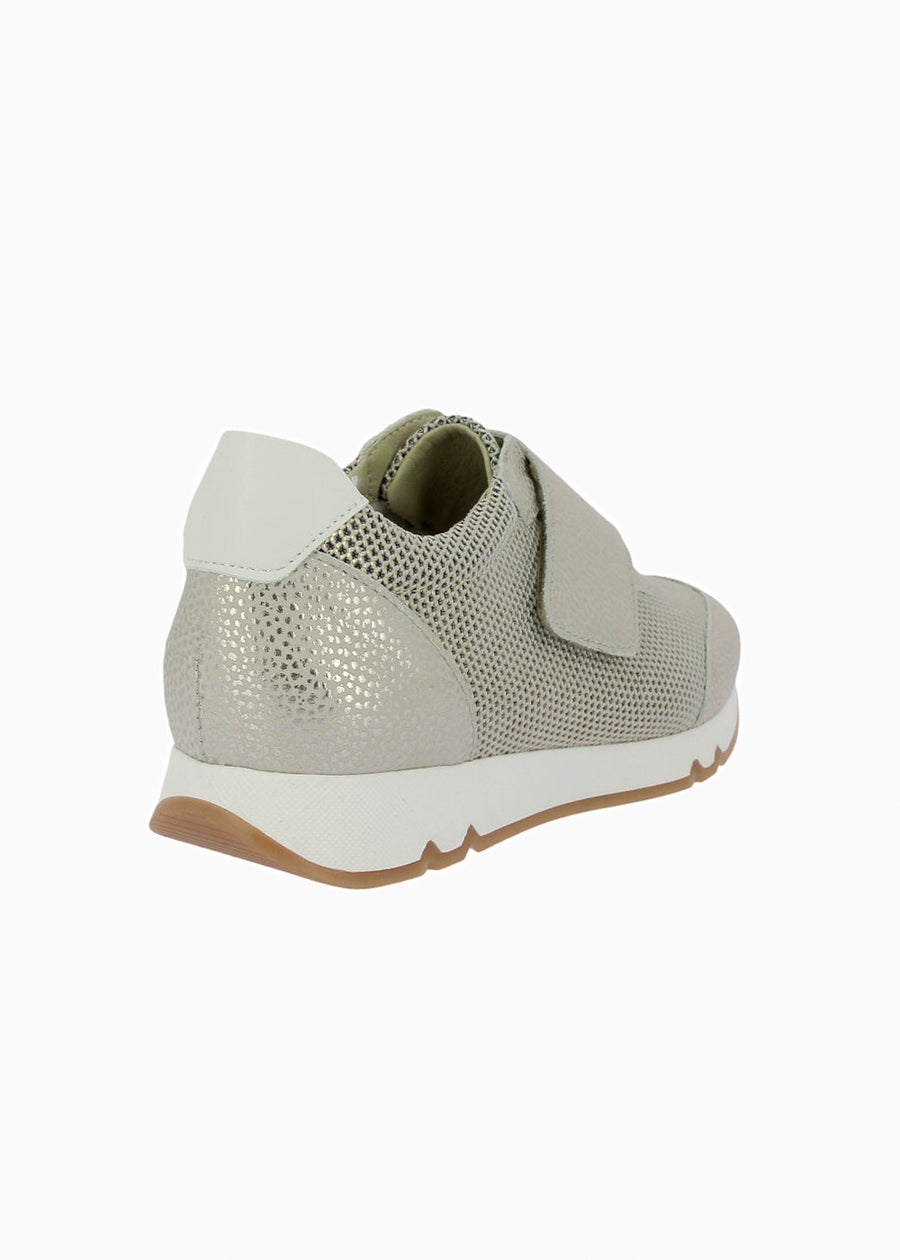 82560 Champagne