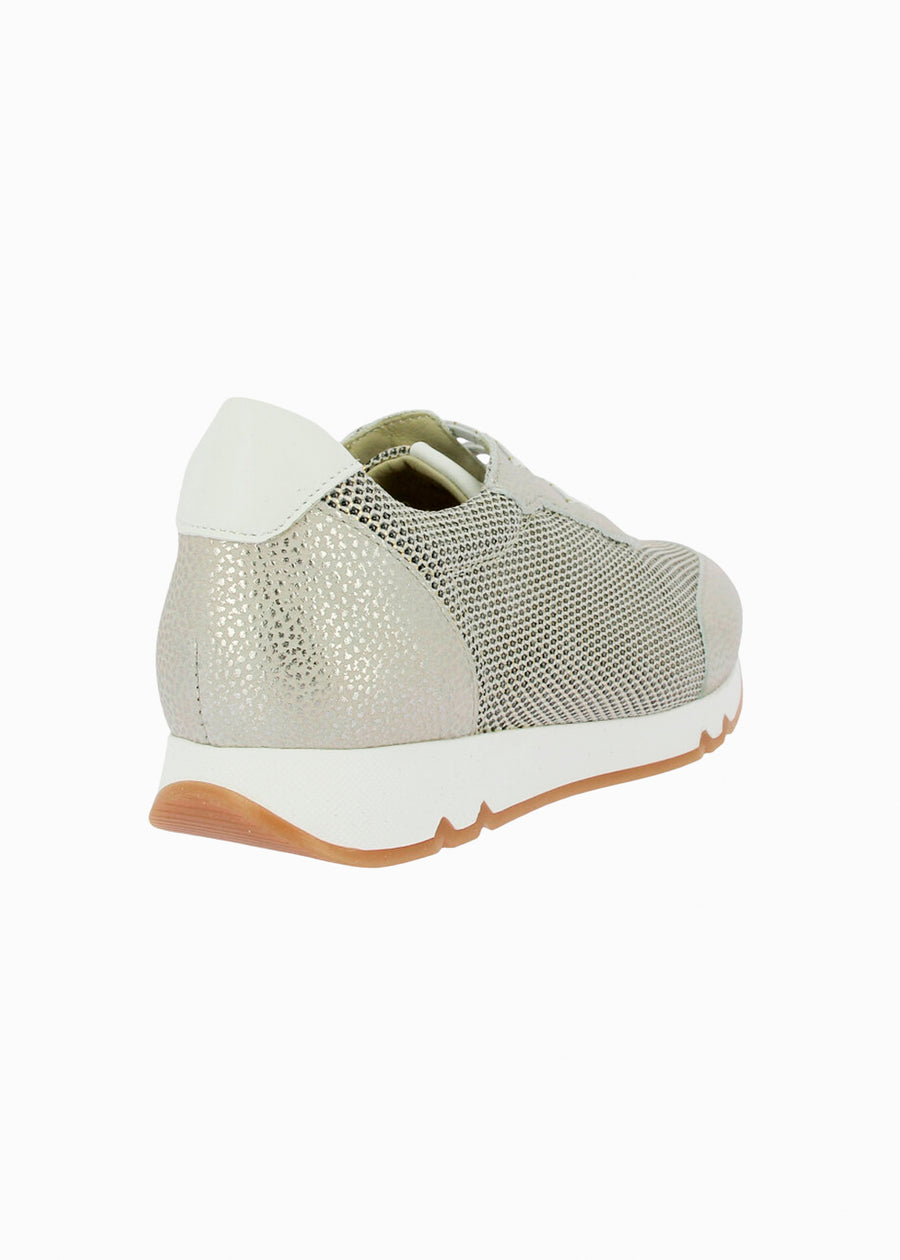 82562 Champagne