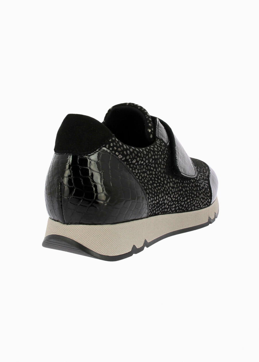 82833 Negro