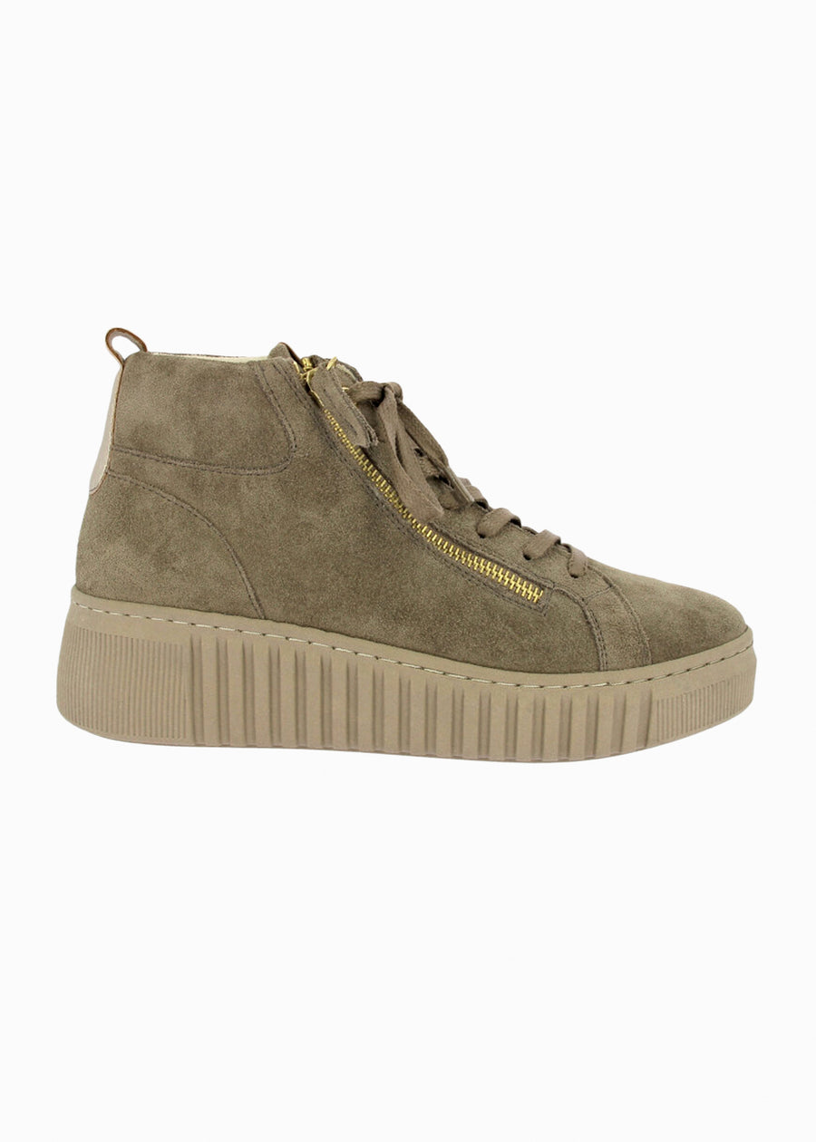 86204 Taupe